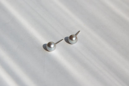 Silver Cloud  Akoya Pearl Earrings